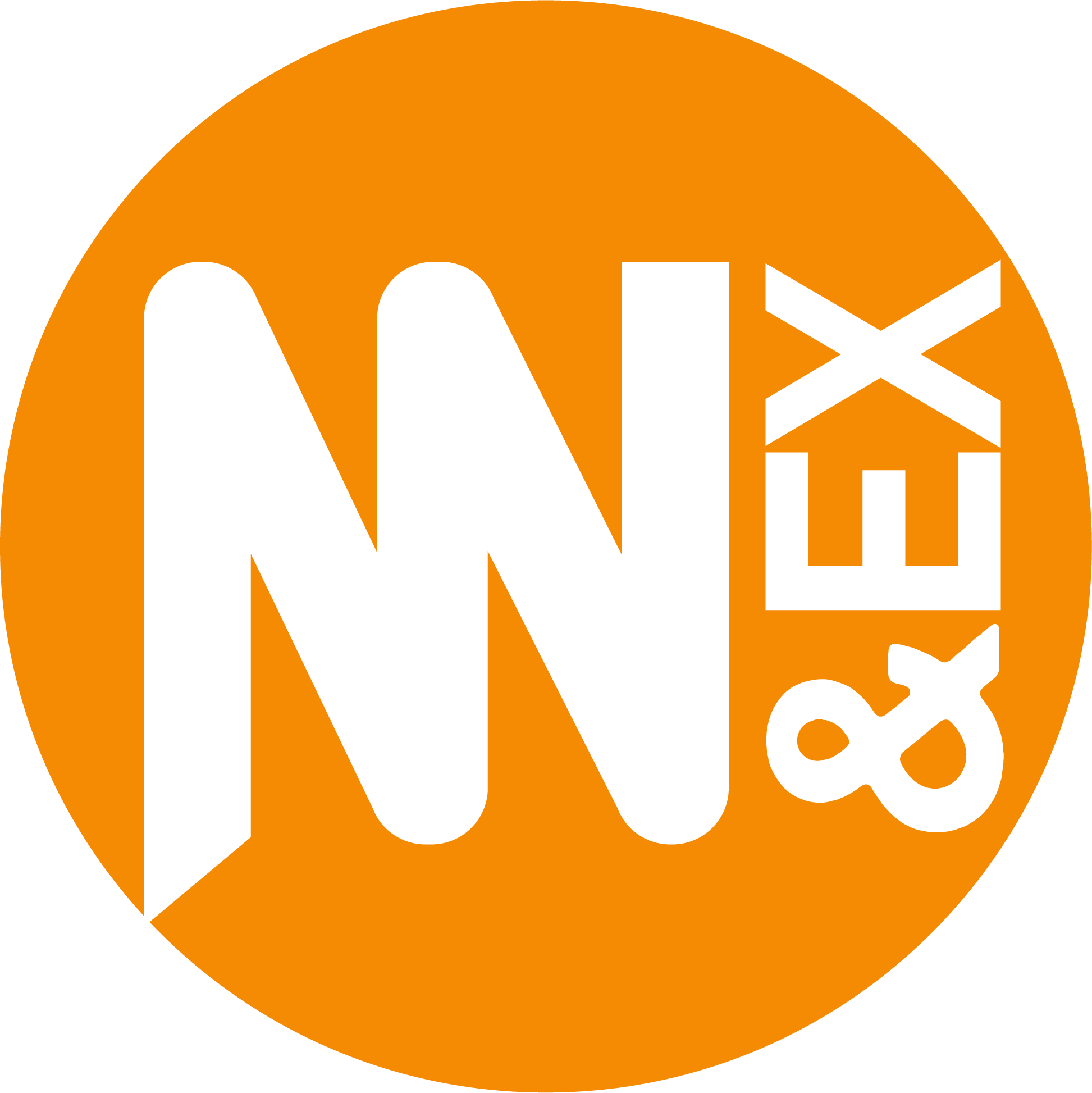 ICONO EX
